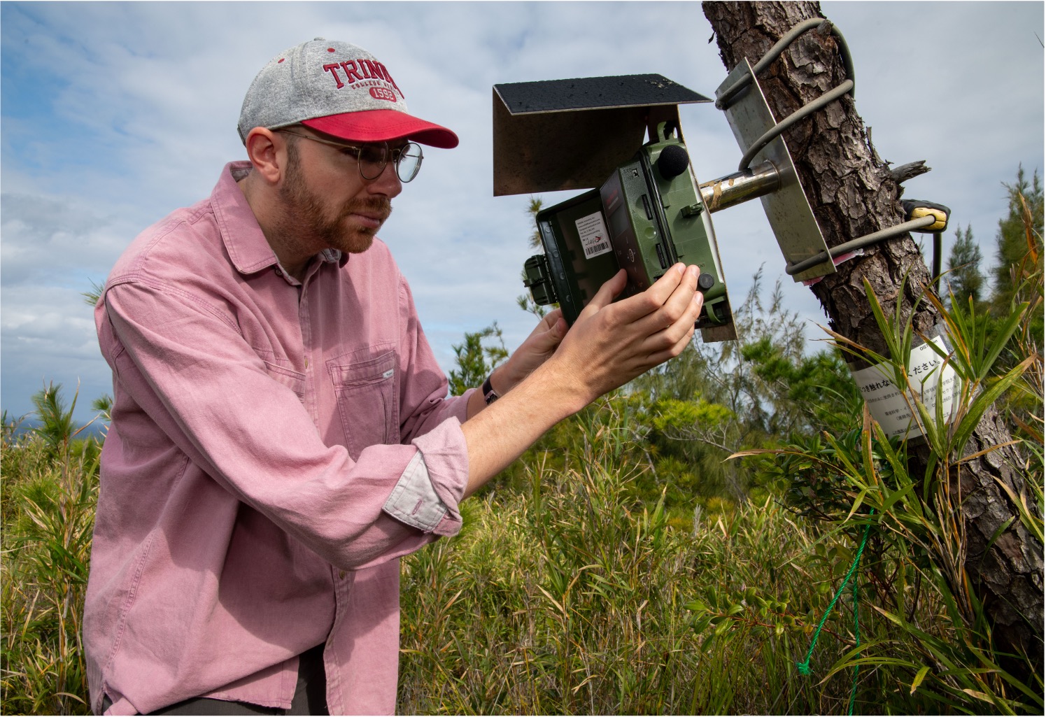 Field photograph illustrating ecological research