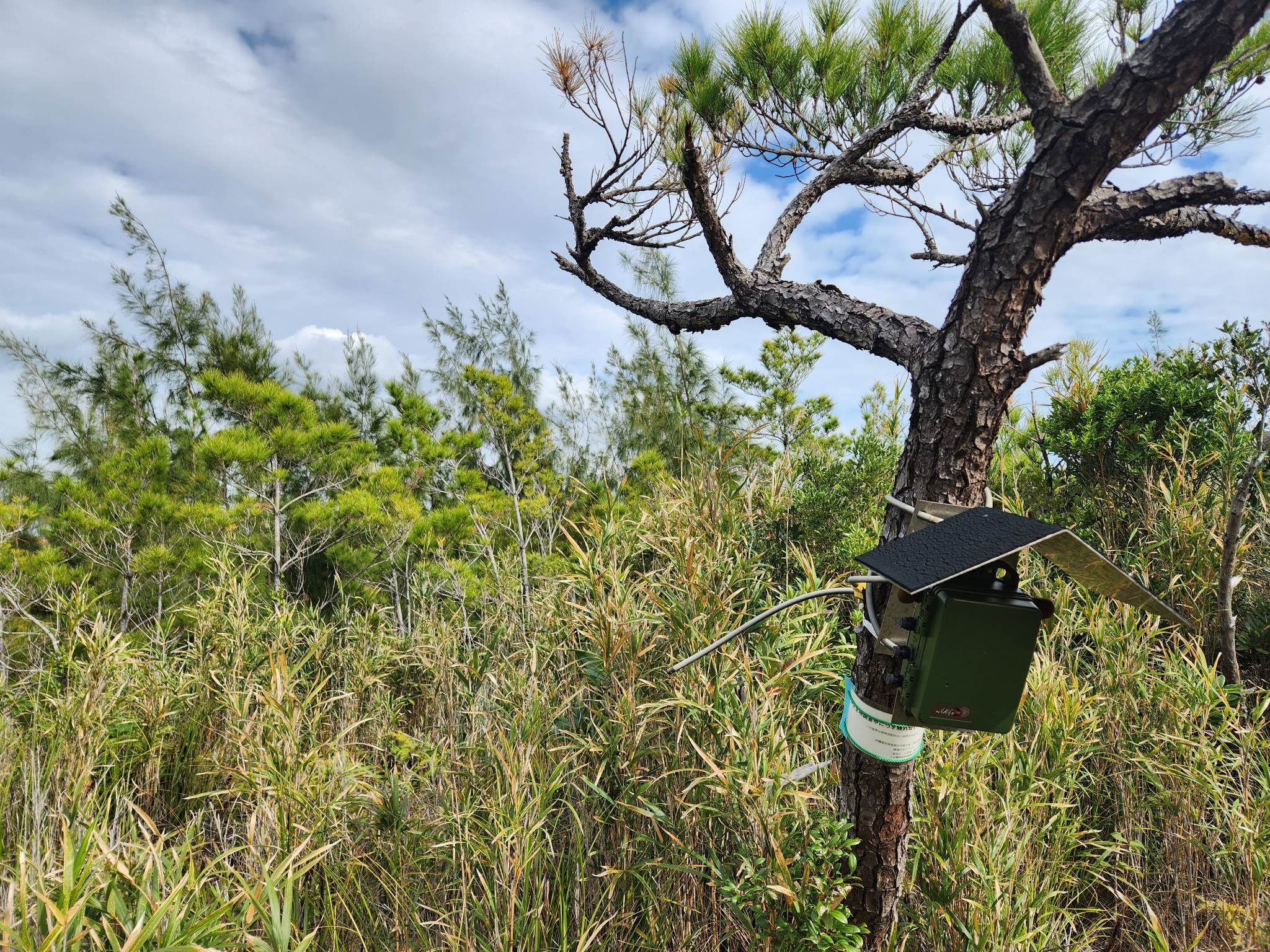 Ecoacoustic field research