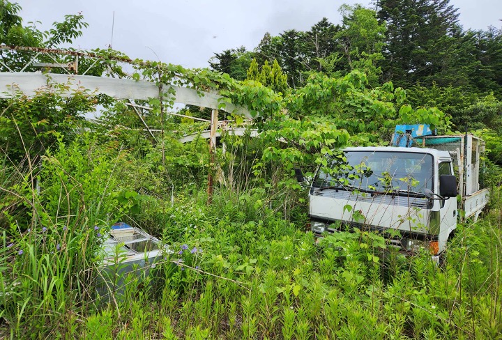 Field research in Fukushima