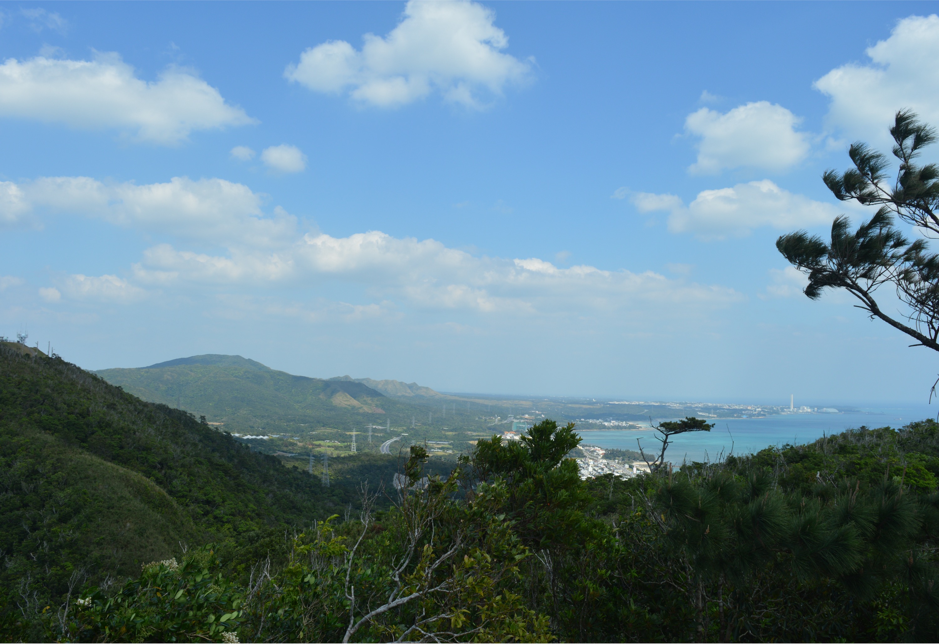 Field research in Okinawa