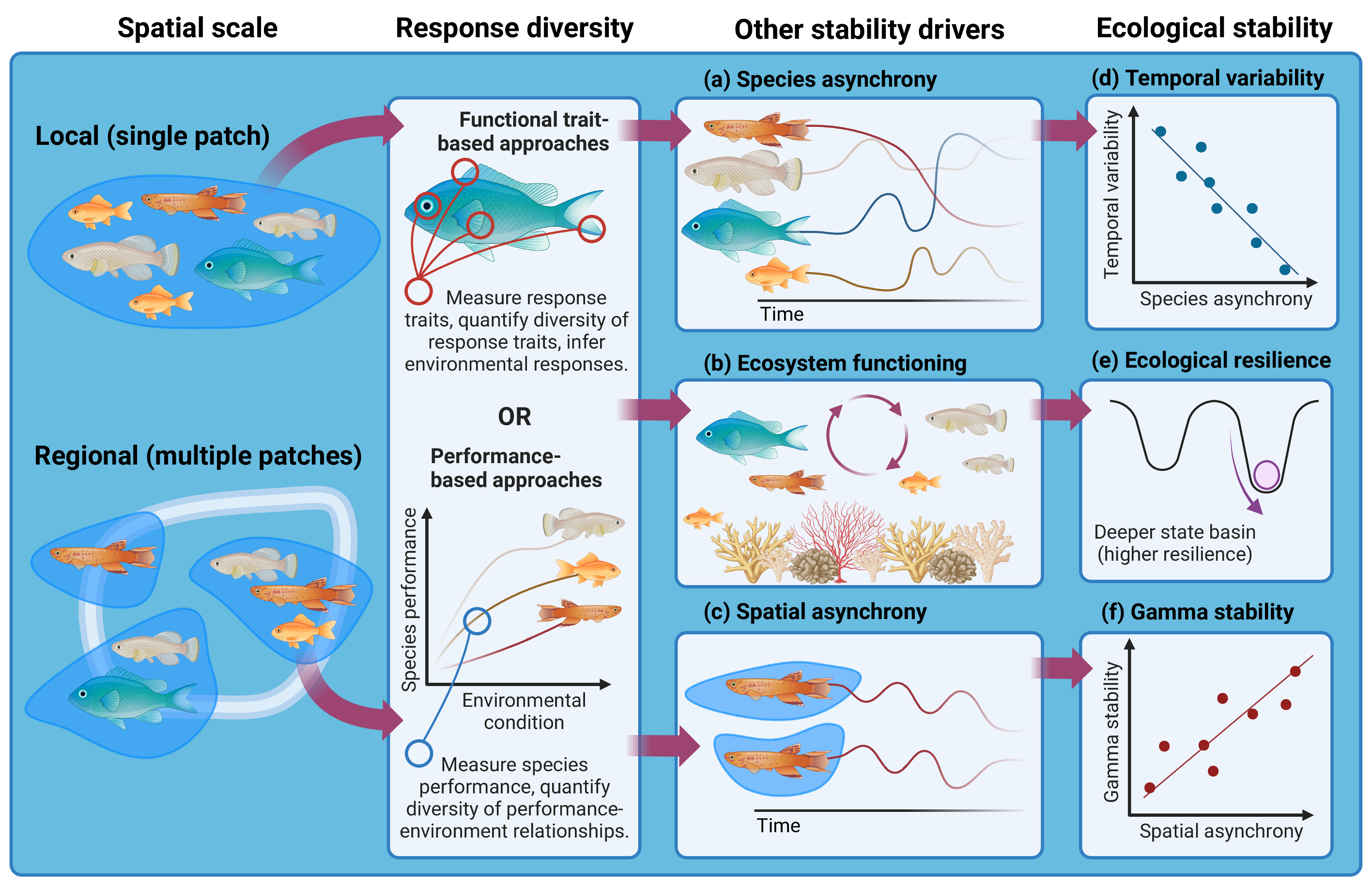 Research on concepts and methods for measuring response diversity